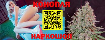 хмурый Малгобек